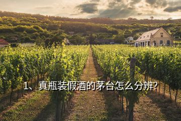1、真瓶裝假酒的茅臺(tái)怎么分辨？