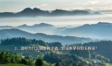 3、酒吧為什么銷(xiāo)售有洋酒，卻沒(méi)有茅臺(tái)和五糧液？