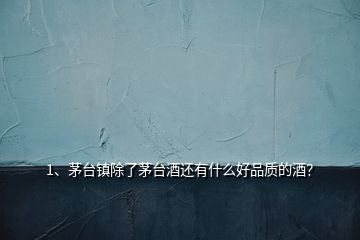 1、茅臺(tái)鎮(zhèn)除了茅臺(tái)酒還有什么好品質(zhì)的酒？