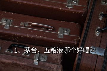 1、茅臺(tái)，五糧液哪個(gè)好喝？