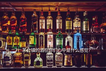 2、茅臺鎮(zhèn)的酒在你們心中是什么感覺？
