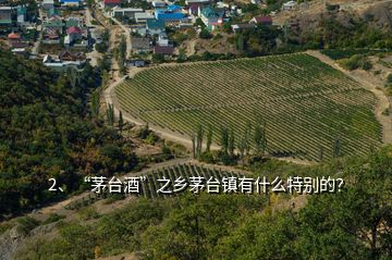2、“茅臺酒”之鄉(xiāng)茅臺鎮(zhèn)有什么特別的？