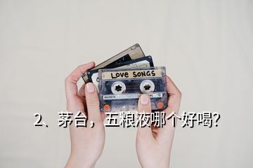 2、茅臺，五糧液哪個好喝？