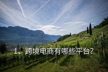 1、跨境電商有哪些平臺(tái)？