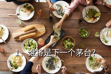 1、誰將是下一個茅臺？