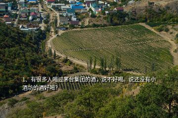 1、有很多人喝過(guò)茅臺(tái)集團(tuán)的酒，說(shuō)不好喝。說(shuō)還沒(méi)有小酒坊的酒好喝？