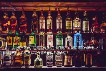 3、貴州茅臺、國酒茅臺從6月30日起不在是國酒茅臺商標(biāo)?了，你們覺得茅臺酒改什么名字合適？