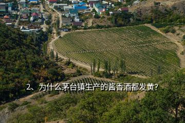 2、為什么茅臺(tái)鎮(zhèn)生產(chǎn)的醬香酒都發(fā)黃？