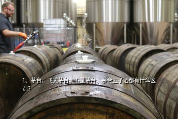 1、茅臺(tái)、飛天茅臺(tái)、五星茅臺(tái)、茅臺(tái)王子酒都有什么區(qū)別？
