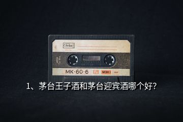 1、茅臺王子酒和茅臺迎賓酒哪個好？