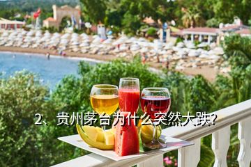 2、貴州茅臺為什么突然大跌？