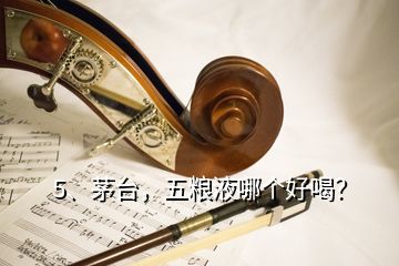 5、茅臺(tái)，五糧液哪個(gè)好喝？