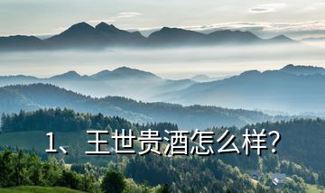 1、王世貴酒怎么樣？