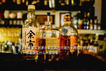 3、今天小米雷軍到茅臺(tái)集團(tuán)真的只是為買兩瓶平價(jià)茅臺(tái)嗎，下一步會(huì)發(fā)生什么大家聊聊？
