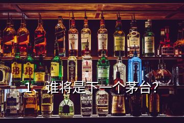 1、誰(shuí)將是下一個(gè)茅臺(tái)？