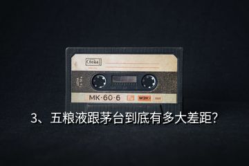 3、五糧液跟茅臺到底有多大差距？