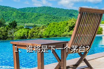 1、誰(shuí)將是下一個(gè)茅臺(tái)？