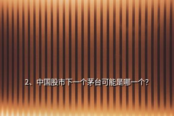 2、中國(guó)股市下一個(gè)茅臺(tái)可能是哪一個(gè)？