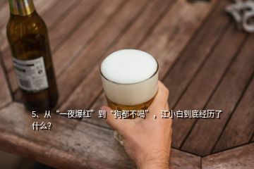 5、從“一夜爆紅”到“狗都不喝”，江小白到底經(jīng)歷了什么？
