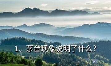 1、茅臺現(xiàn)象說明了什么？