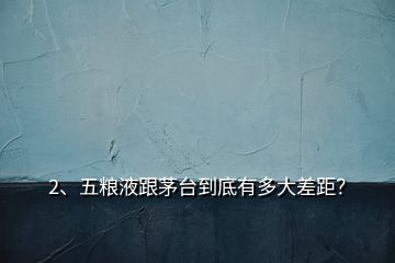 2、五糧液跟茅臺(tái)到底有多大差距？