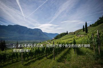 2、這么多香型的白酒，我想問下哪個香型的白酒不辣啊感覺都好辣？