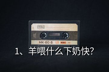 1、羊喂什么下奶快？