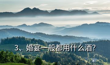 3、婚宴一般都用什么酒？