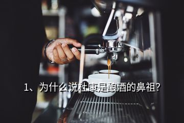 1、為什么說杜康是釀酒的鼻祖？