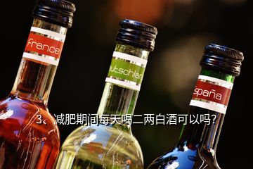 3、減肥期間每天喝二兩白酒可以嗎？