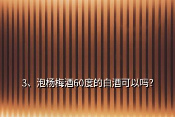 3、泡楊梅酒60度的白酒可以嗎？