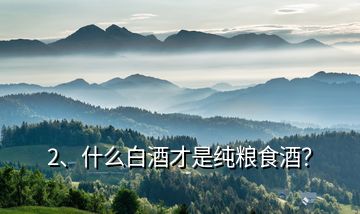 2、什么白酒才是純糧食酒？