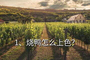 1、燒鴨怎么上色？