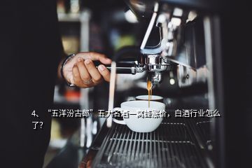 4、“五洋汾古郎”五大名酒一窩蜂漲價(jià)，白酒行業(yè)怎么了？