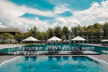 1、哪里可以學(xué)釀酒？是學(xué)技術(shù)不是提升學(xué)歷，單純的學(xué)技術(shù)，哪里可以呢？