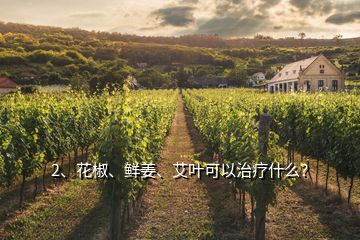 2、花椒、鮮姜、艾葉可以治療什么？