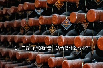 1、三斤白酒的酒量，適合做什么行業(yè)？