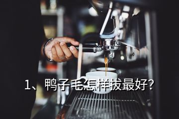1、鴨子毛怎樣拔最好？