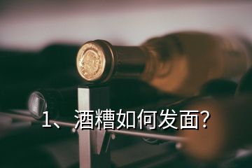 1、酒糟如何發(fā)面？