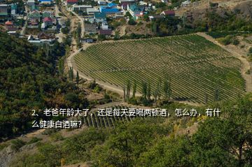 2、老爸年齡大了，還是每天要喝兩頓酒，怎么辦，有什么健康白酒嘛？