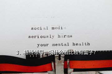 3、招待領(lǐng)導(dǎo)，喝什么酒比較有面子？