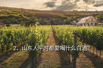 2、山東人平時(shí)都愛喝什么白酒？