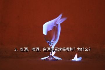 3、紅酒，啤酒，白酒你喜歡喝哪種？為什么？