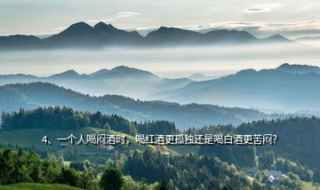 4、一個(gè)人喝悶酒時(shí)，喝紅酒更孤獨(dú)還是喝白酒更苦悶？