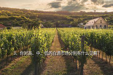 3、你對(duì)高、中、低的白酒市場(chǎng)分別有什么見解？