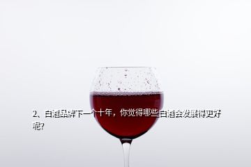 2、白酒品牌下一個(gè)十年，你覺(jué)得哪些白酒會(huì)發(fā)展得更好呢？