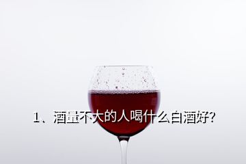1、酒量不大的人喝什么白酒好？