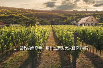1、請(qǐng)教釣魚(yú)高手，用什么酒泡大米做窩料好？