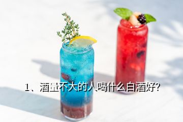 1、酒量不大的人喝什么白酒好？