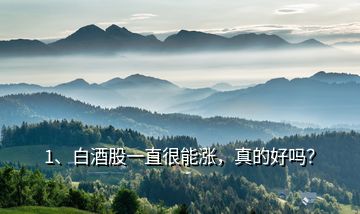 1、白酒股一直很能漲，真的好嗎？